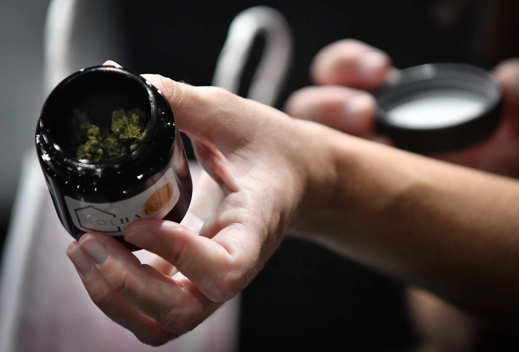 State auditor launches inquiry into Missouri marijuana program - Vimarsana News